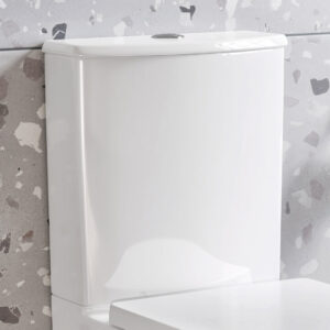 Rene Cistern Inc. Dual Flush Fittings